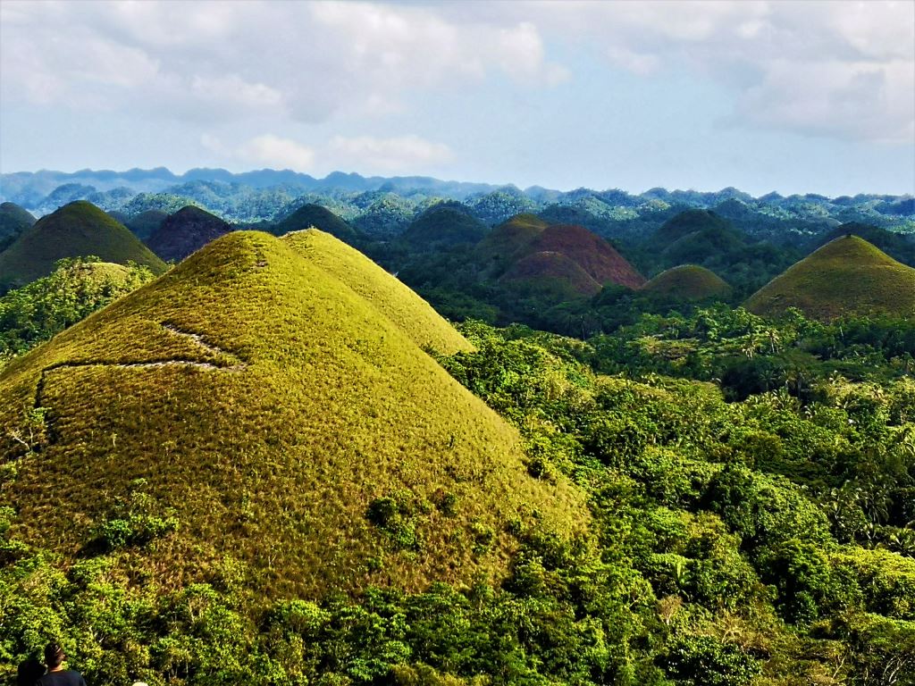 Čokoladni griči so čudo narave in izredno lep dodatek naravi Bohola. Filipini so rajsko otočje.