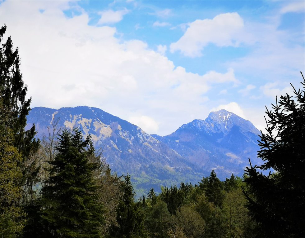 Udin boršt ponuja tudi pogled na Tolsti vrh in Storžič.